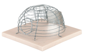 Piège à souris corbeille