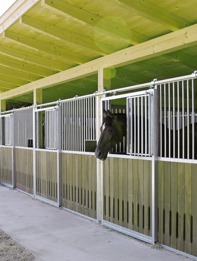Farbwahrnehmung beim Pferd