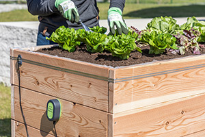 Der elektrifizierbare Schneckenzaun SnailStop schützt ein Hochbeet mit Salatpflanzen