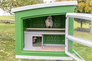 Innenansicht vom mobilen Hühnerstall Mobile Coop