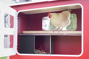 Die Vorteile des mobilen Hühnerstalls MobileCoop aus Holz