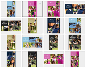 Vorschau auf Bildersammlung für WhatsApp Status und Social Media Content Download von Covalliero Trendbook