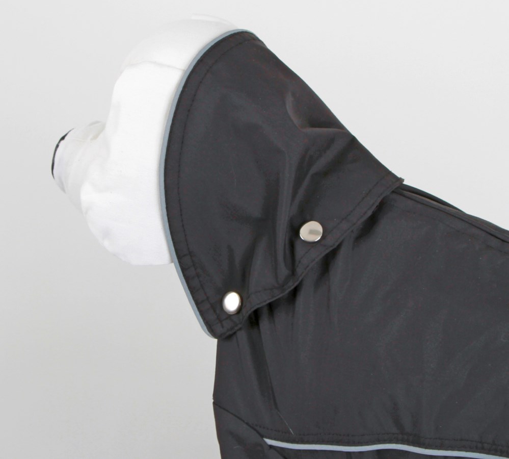 Item. No. 81376