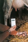 Multifunction Thermometer Checktemp 1