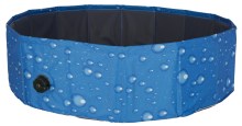 Dog Pool Bubble