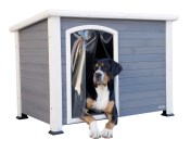 Dog House Kenny