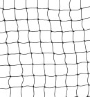 Universal Safety Net