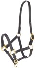 Foal Head-Collar Eco