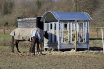 Square Hay Rack for Horses with Safety Feeding Barrier