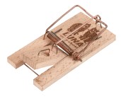 cit Mousetrap Luna