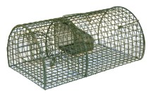 cit Rat Catcher Alive MultiRat