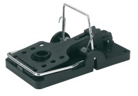 cit Rat Trap Snapper