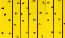 cit Stable Flypaper Sheet FlyMaster