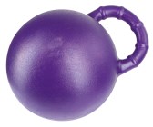 Horse Play Ball