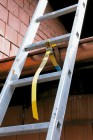 Ladder Strap