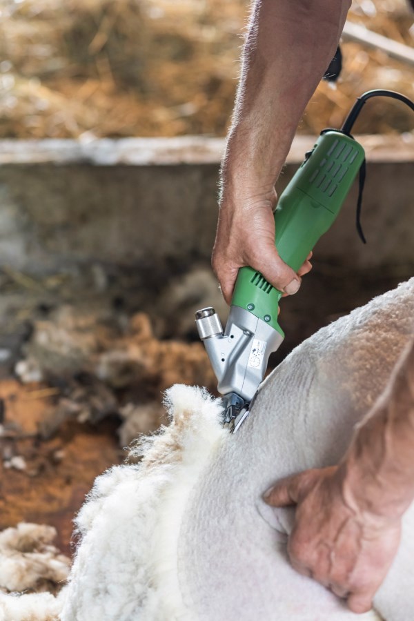 Lames Cisaillement Kerbl Constanta 2 Lot De 220 Lames De Cisaillement Kerbl Constanta 2 - 24 Dents Supérieures, 35 Dents Inférieures - Pour Tondeuses à Moutons Pièces Rechange Tondeuse Ovine