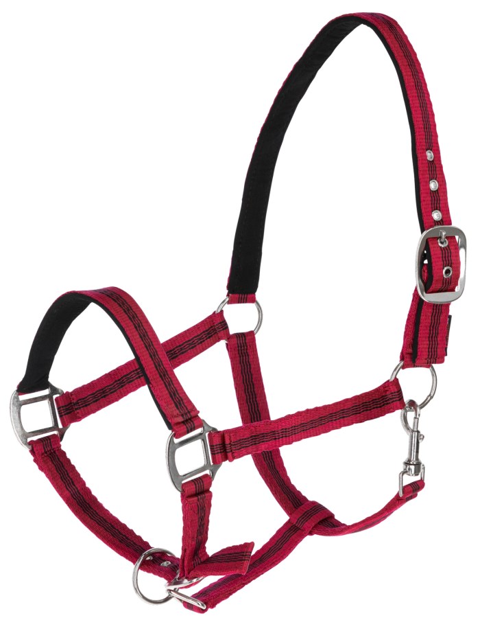 Licol Kerbl Mustang – Polyamide Résistant, Double Réglage, Mousqueton, Muserolle Rembourrée, Motif Discret