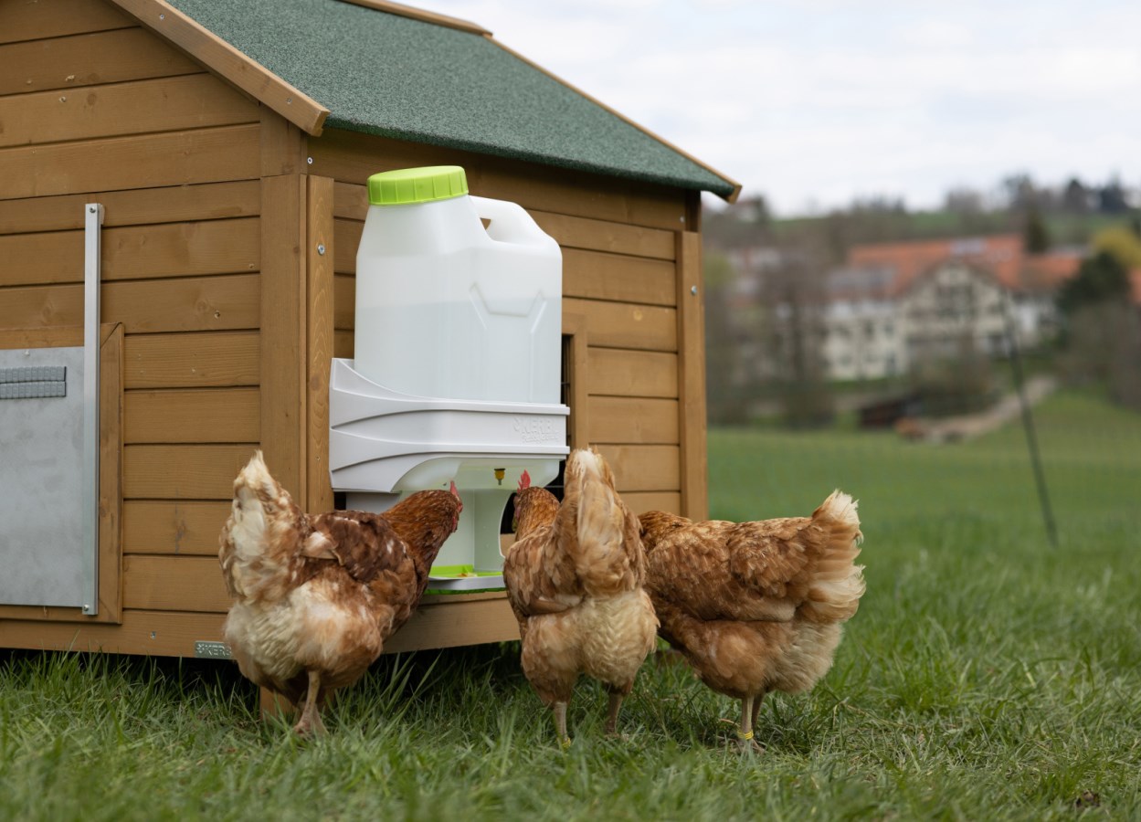 Abreuvoir Pour Poules Kerbl 1,5 L - Nettoyage Facile