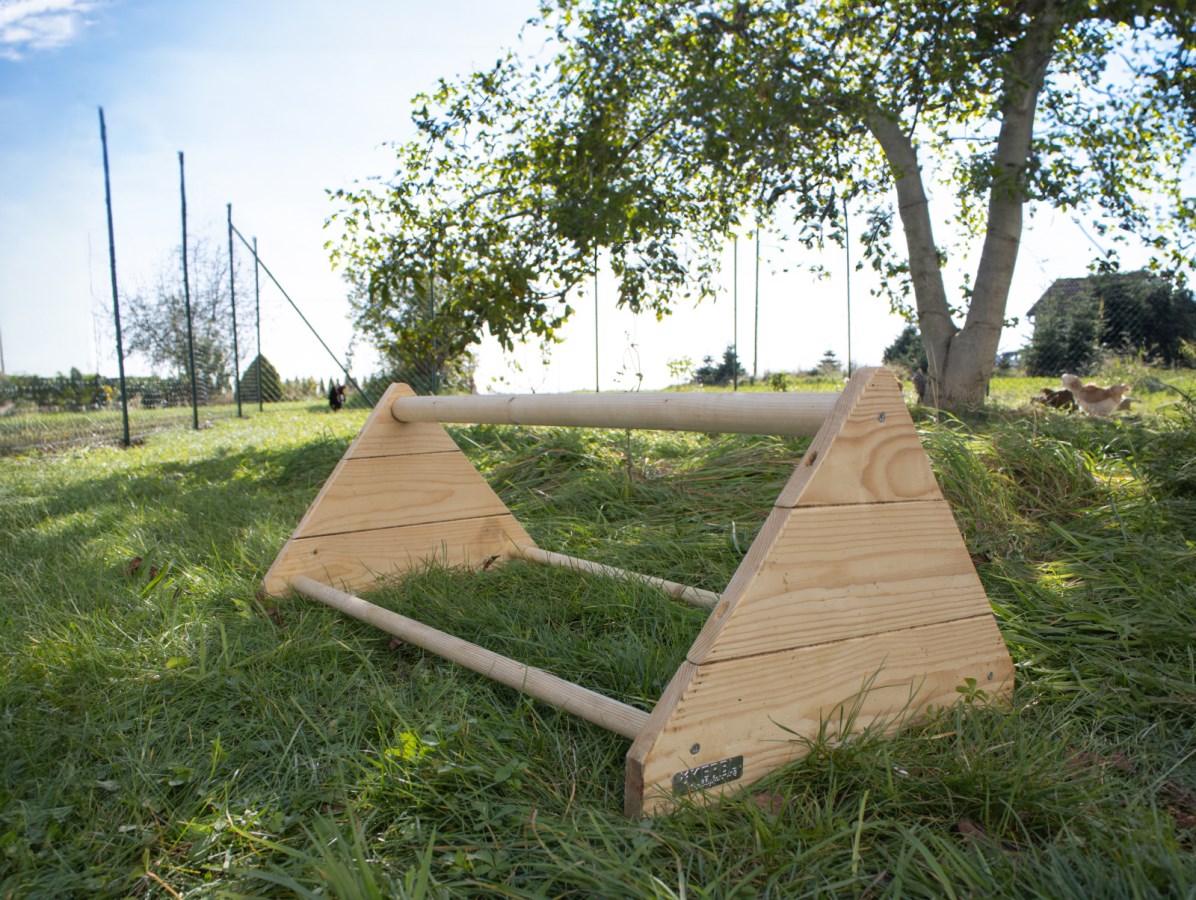 Perchoir à Poules : Choix, Emplacement Et Installation