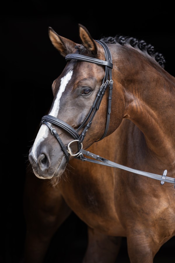 Corde Plomb Cuir Tisserand Laiton Massif – 10 Pieds, Snap 225, Pour Cheval/bétail