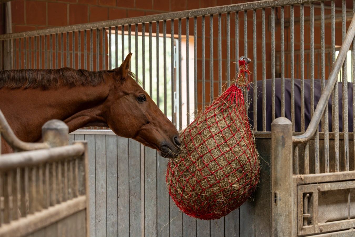 Filet à foin Stable Pro Elim-a-net - Filet à foin cheval - Le Paturon