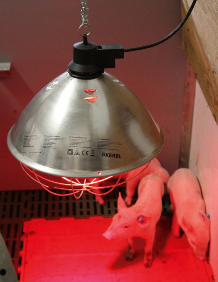 Protecteur Pour Lampe Infrarouge Kerbl - Grille De Sécurité Avec Câble 5m