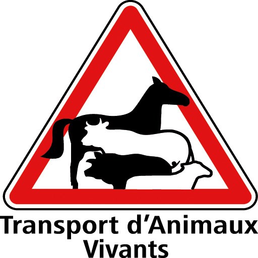 Panneau Danger Attention Taureaux - Signalétique Extérieure Rouge Gravé, Fabrication Française