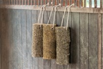 Delizia® Bois à grignoter « métabolisme »