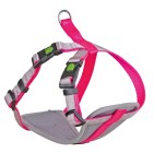 Harnais pour petits chiens