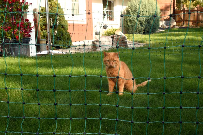 Filet Anti Chats Animaux Domest Kerbl France