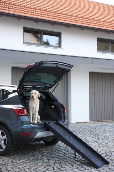 Rampe pour chien Rampe pour animaux compagnie pour voiture, avec