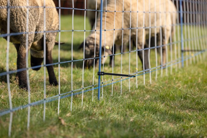 Kerbl 32176 1 Filet Creux 14,5 Cm - Equipement Du Cheval - Achat & Prix