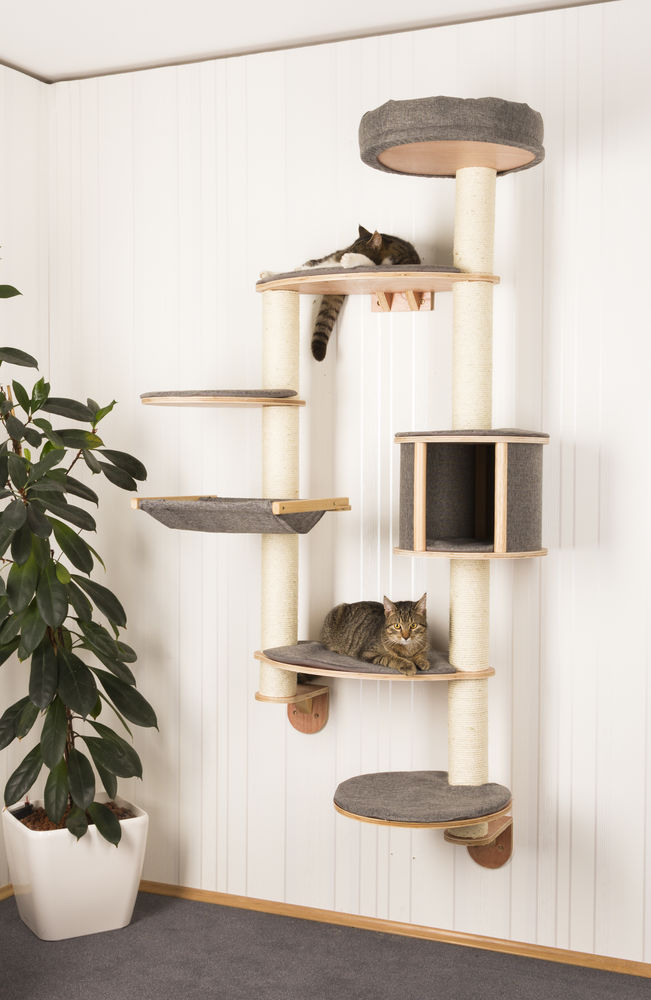 Arbre A Chat Mural Dolomit Xl Tofana Accessoires Pour Chats Arbres Kerbl France