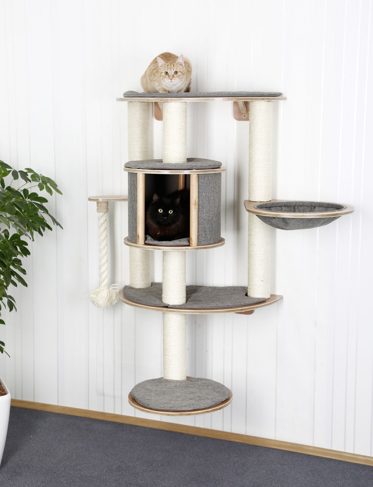 Arbre A Chat Mural Dolomit Tofana Pro Accessoires Pour Chats Arbres Kerbl France