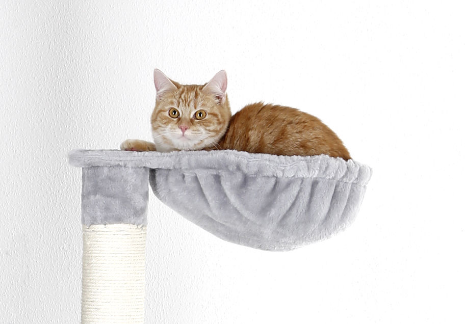 Arbre A Chat Square Accessoires Pour Chats Arbres A Chat Coussins Kerbl France Arbre A Chat Square Accessoires Pour Chats Arbres A Chat Coussins Kerbl France