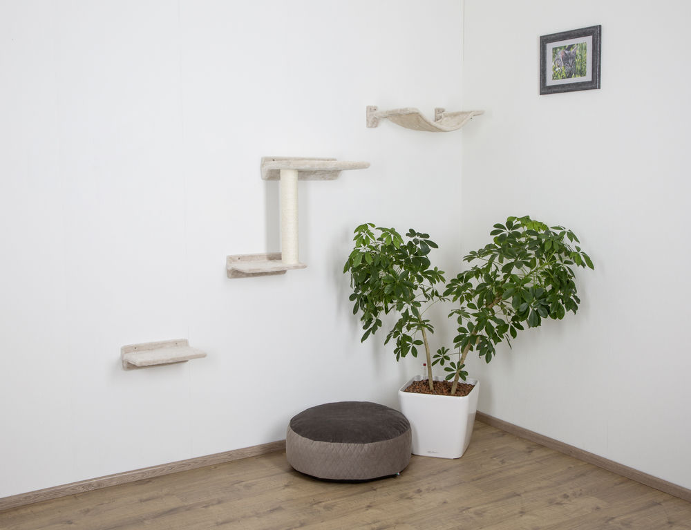 Mur D Escalade Accessoires Pour Chats Arbres A Chat Coussins Mu Kerbl France